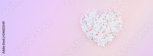 Pink background with white lilac flowers