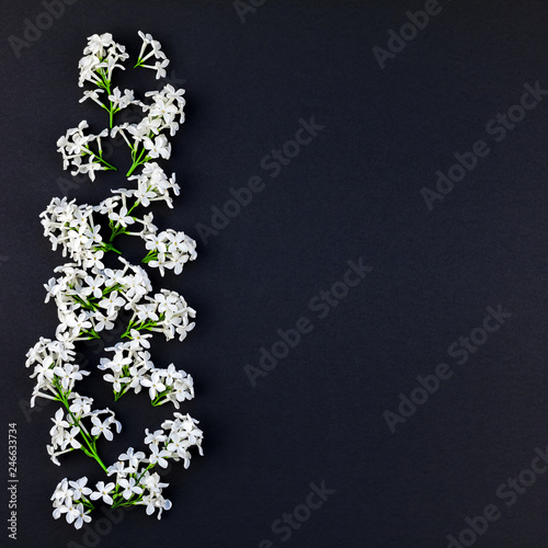 Black background with white lilac flowers © dvoevnore