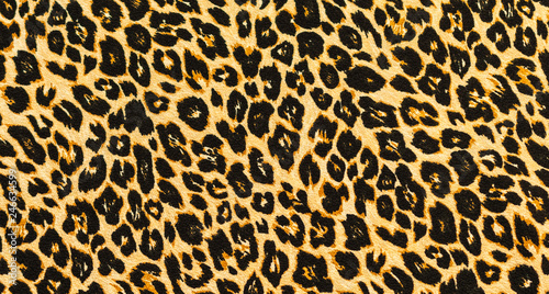 Bright and colorful leopard skin pattern background. Abstract fashion design.