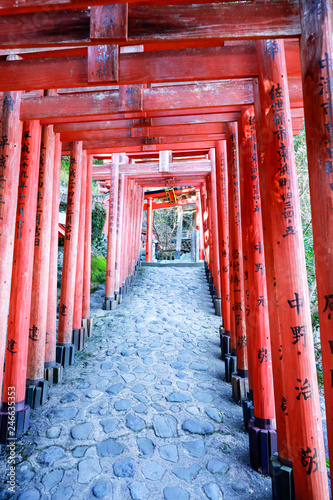 yutoku Inari Shrine is located in Kashima City, southern Saga Prefecture.Japan photo