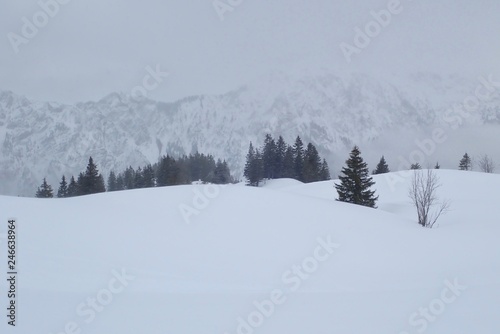 Verschneite Landschaft nahe des Winterwanderwegs auf dem Fellhorn in Oberstdorf © Malte Florian Klein
