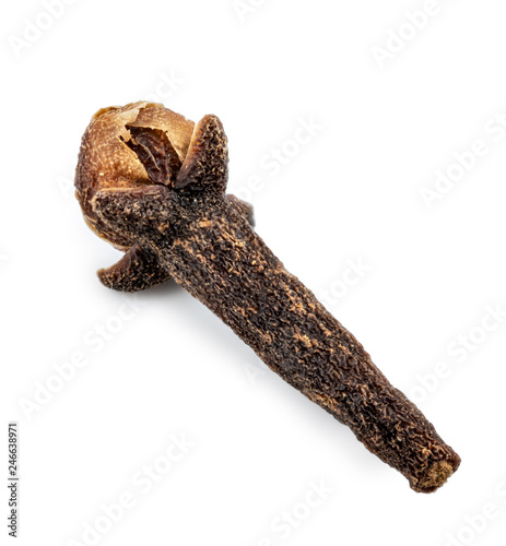 Dry clove isolated on white background photo