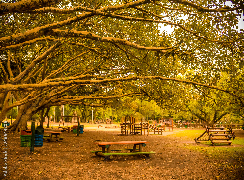 Obraz premium Parque