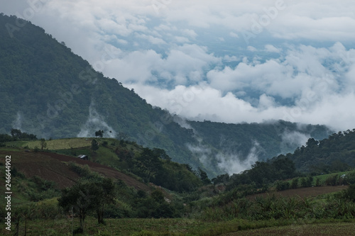 Fog and Mountain View in the Rainy Season.