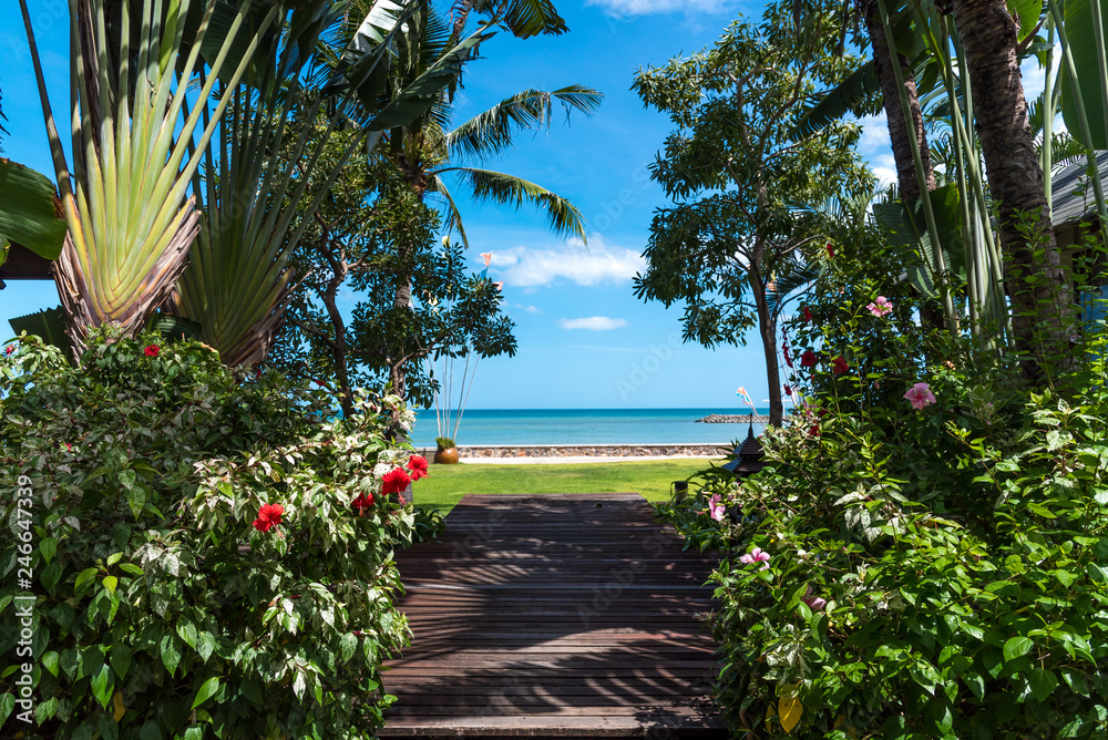 The path through the tropical garden to get to the beach, the blue sky of the summer vacation