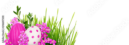 Pink yarrow flowers and Eas...