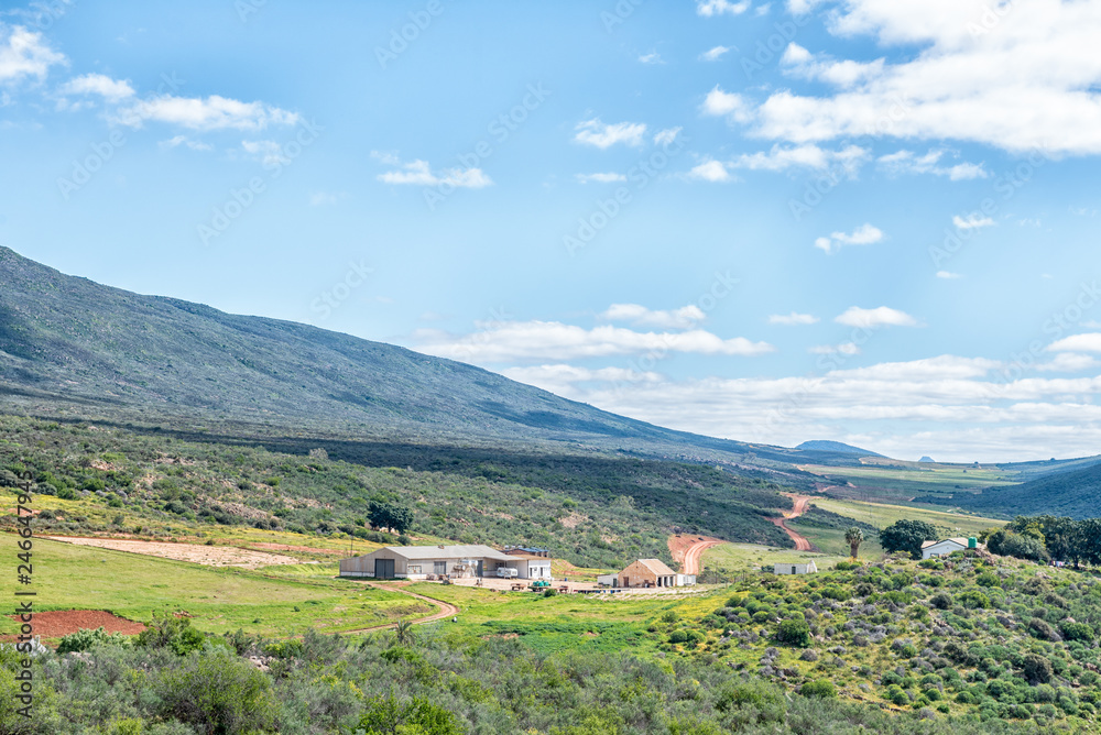 Naklejka premium Farm scene near Clanwilliam in the Western Cape Province
