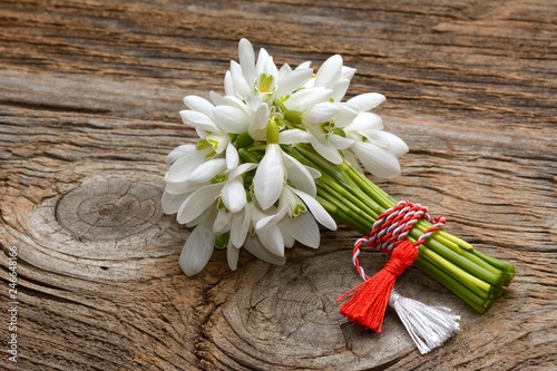 Fototapeta Naklejka Na Ścianę i Meble -  snowdrops, 1st of March tradition white and red cord martisor isolated on wooden background
