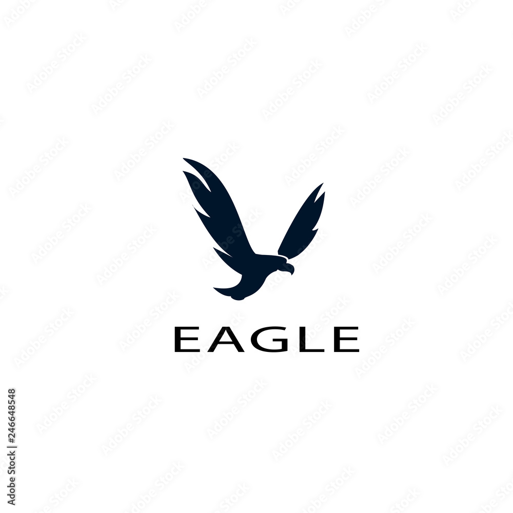 Obraz premium eagle logo art