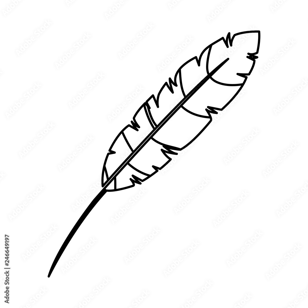 feather exotic isolated icon feather exotic isolated icon