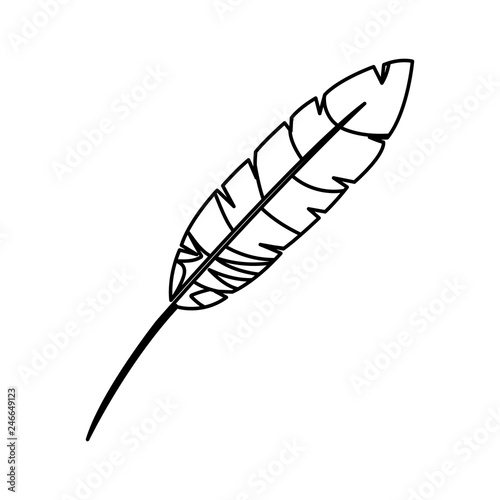 feather exotic isolated icon