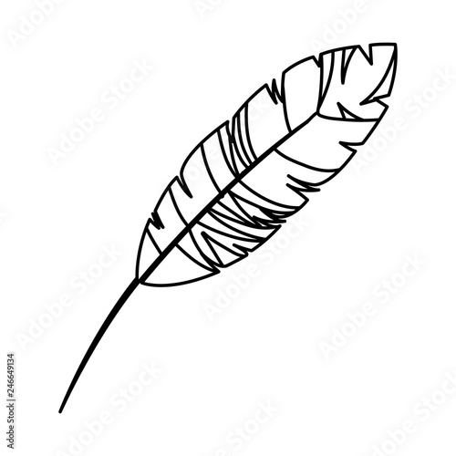 feather exotic isolated icon