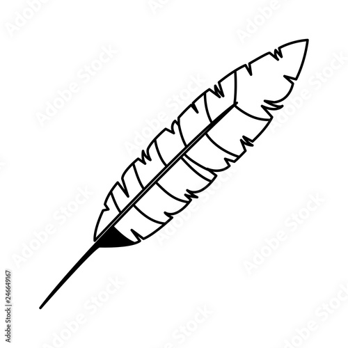 feather exotic isolated icon