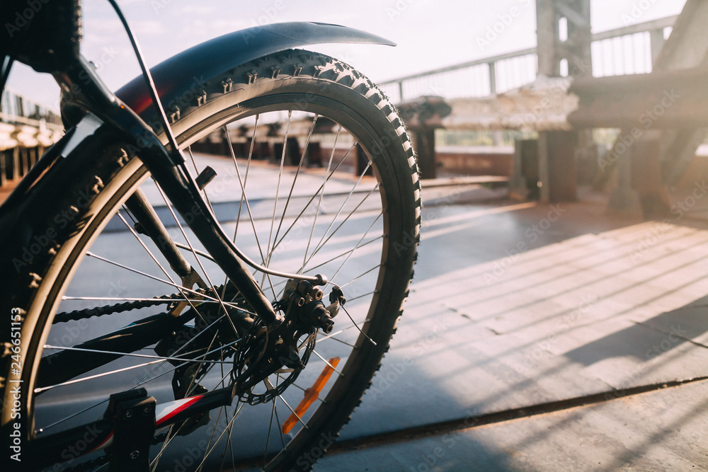 rear bicycle wheel with a wing in the sun rear bicycle wheel with a wing in the sun