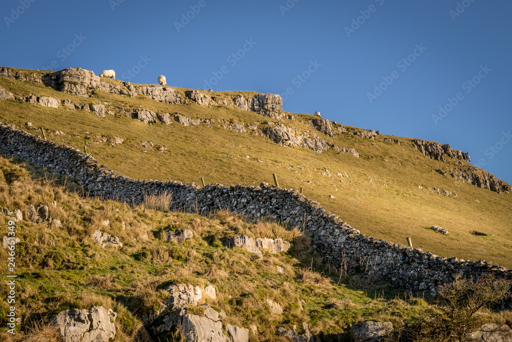 stone wall with a cliff and sheep and goats in Yorkshire dales.
