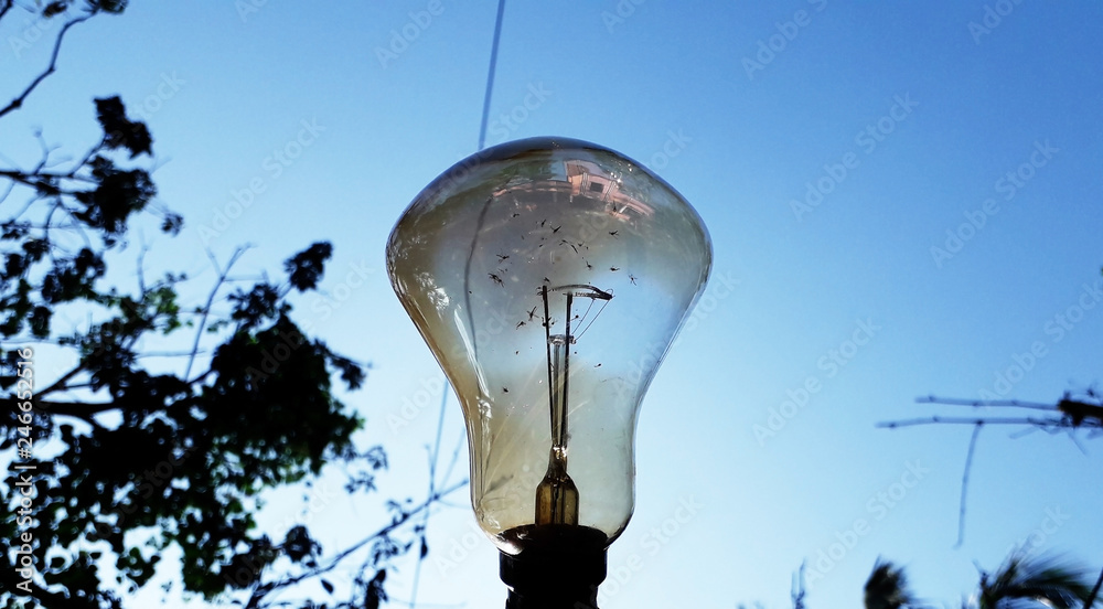 Eelectrical Light Bulb on Blue Sky Background