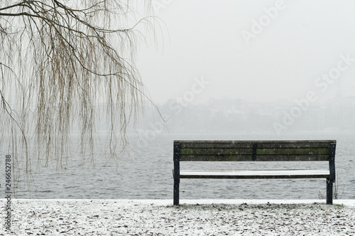 Bank und Trauerweide an der Alster im Winter photo