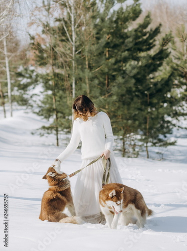 Fototapeta Naklejka Na Ścianę i Meble -  woman two dogs husky winter snow forest