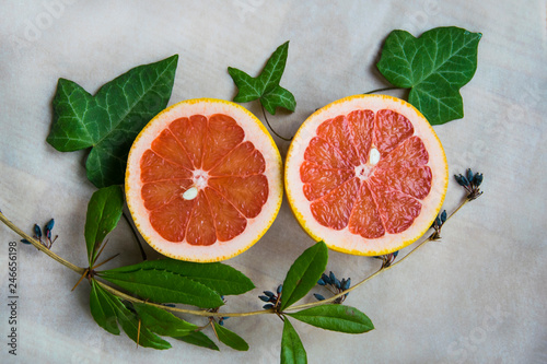 Colorful fruit pattern of fresh grapefruit slices. From top view
