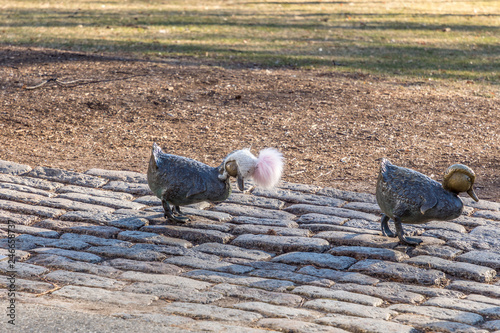 Make Way For Ducklings Stature - Boston Common