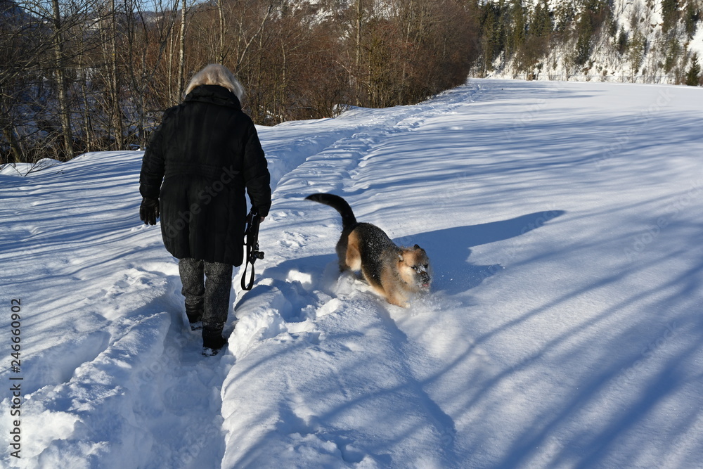 Winterwandern mit Hund