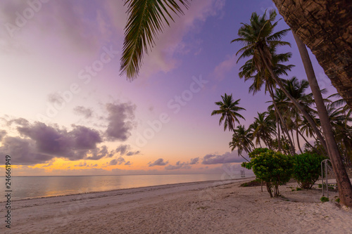 Zanzibar, landscape sea, beach, sunset