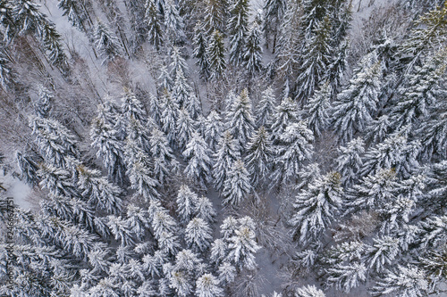 Winter scenery in Silesian Beskids mountains. Top aerial view of snow mountain landscape with trees.