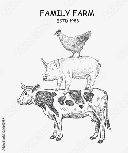 Farm animals Cow, Pig, Chicken. Vector illustration emblem