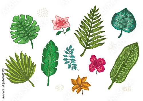 Collection of bright hand drawn colorful tropical flowers and leaves, exotic plants. Big vector set of floral elements for pattern design, greeting card decoration, logo