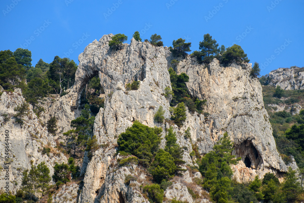 Elefante di roccia Elefante di roccia