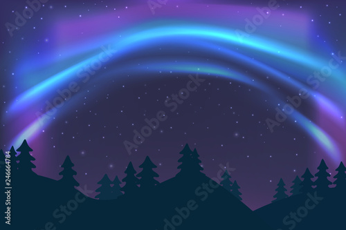 Night sky with aurora over spruce forest in winter, blue northern light with stars, polar light glowing, polar streamers. Vector