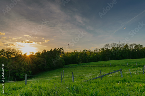 landscape with wheat field and blue sky
