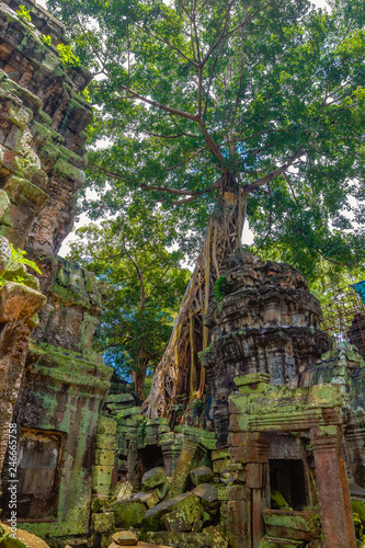 Ta Prohm Temple Ruin in Jungle