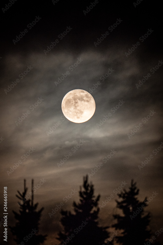 moon moon