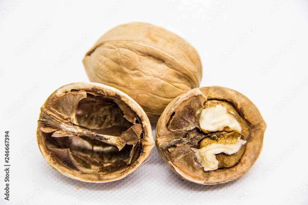 one indoor and one outdoor walnut in the campsite on white background one indoor and one outdoor walnut in the campsite on white background