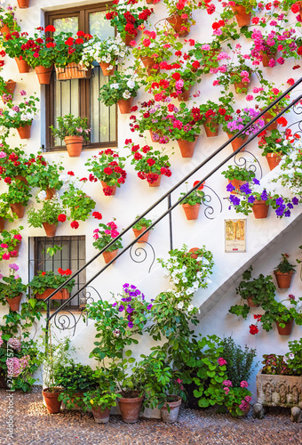 Fototapeta Naklejka Na Ścianę i Meble -  Nice patio with flowers and pond in Cordoba, Spain