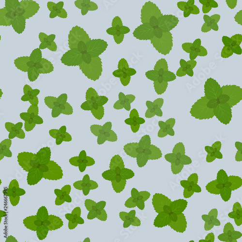 Fresh green mint leaves isolated on seamless pattern