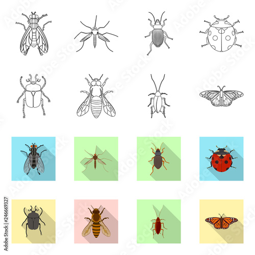 Isolated object of insect and fly logo. Set of insect and element vector icon for stock. © Svitlana