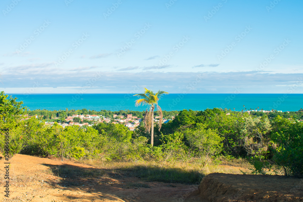 A view of Itamaraca island from a hill - atlantic forest and atlantic ocean in the background (Ilha de Itamaraca, Brazil)