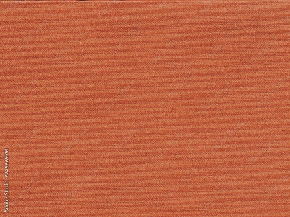Fototapeta premium The texture of the cover of the old book. Old book cover, vintage texture.