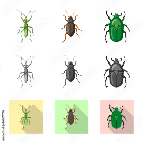 Vector design of insect and fly icon. Collection of insect and element vector icon for stock.