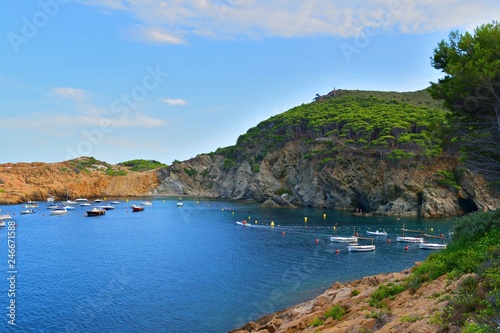 Fototapeta Naklejka Na Ścianę i Meble -  paesaggio marino della bellissima baia di Cala Sa Tuna sulla Costa Brava nel comune di Begur, Girona Spagna