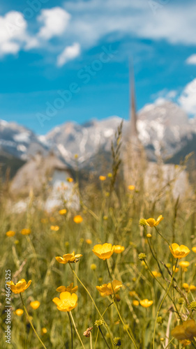 Smartphone HD wallpaper of beautiful alpine view at Maria Alm - Tyrol - Austria © Martin Erdniss