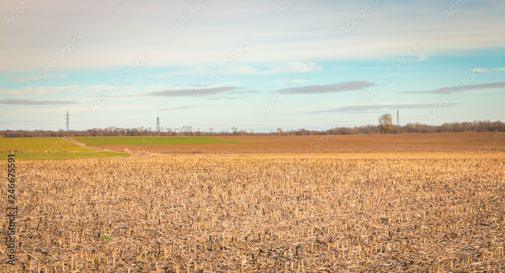 view of a field in the plains of Alsace in France