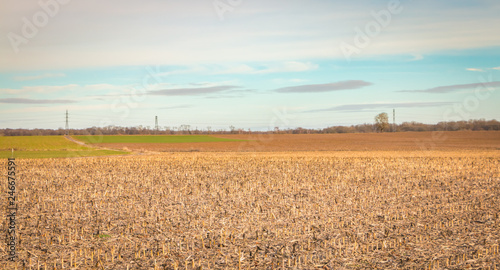 view of a field in the plains of Alsace in France