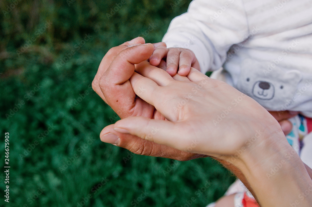 Hands of parents and child close up. Happy loving family together. Hold hands. Caring for children, support. Family day Hands of parents and child close up. Happy loving family together. Hold hands. Caring for children, support. Family day