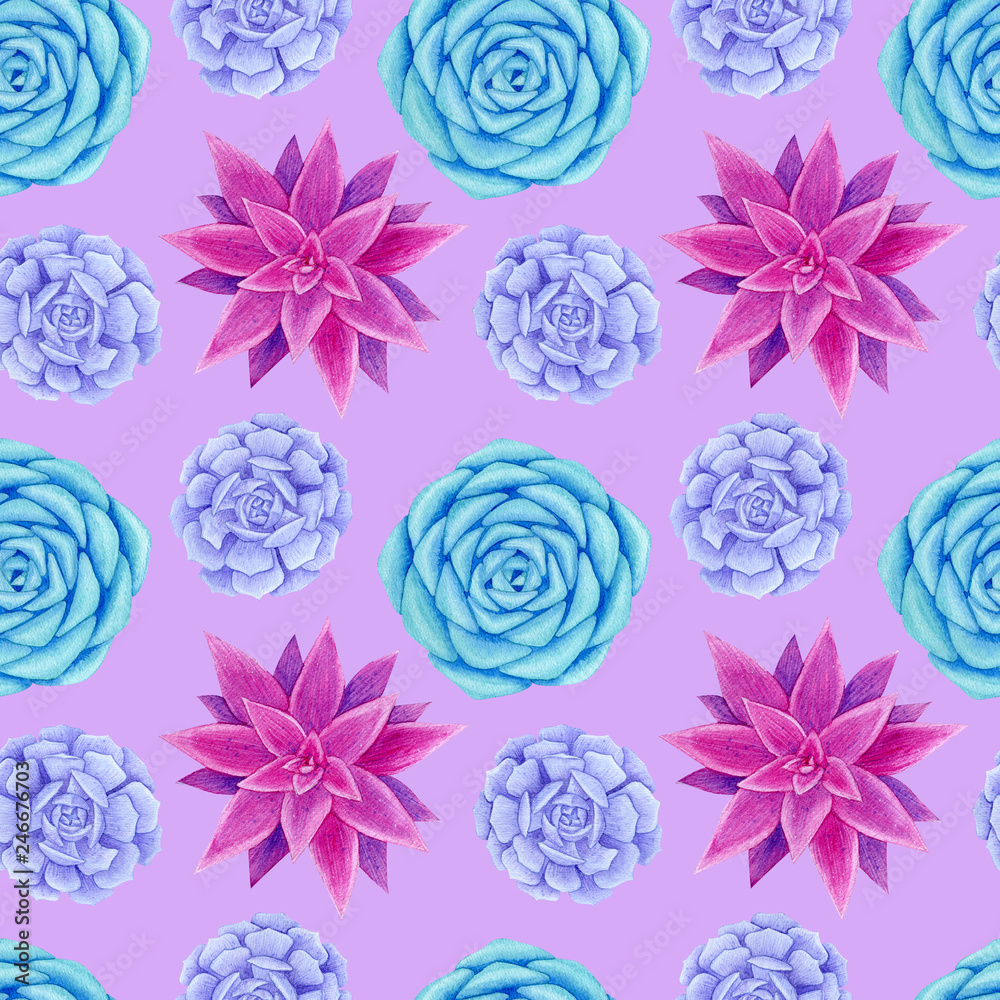 Obraz Pink, blue and violet succulents seamless pattern. Watercolor hand drawn painting illustration. High resolution 600 dpi. Isolated on light pink background. Color of background can be easily changed