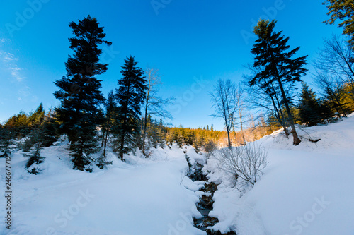 Fototapeta Naklejka Na Ścianę i Meble -  Winter trekking Beskidy mountains Rysianka