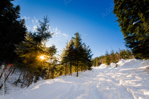 Fototapeta Naklejka Na Ścianę i Meble -  Winter trekking Beskidy mountains Rysianka