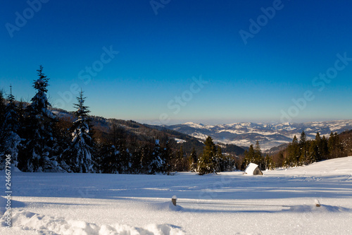 Fototapeta Naklejka Na Ścianę i Meble -  Winter trekking Beskidy mountains Rysianka